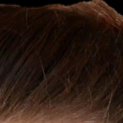 Alexis Bledel's hair — dark cool brown, Bright Winter contrast