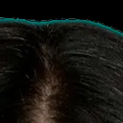 Courteney Cox's hair — very dark near-black, True Winter cool signature