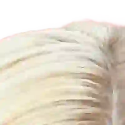 Gigi Hadid's hair — very light blonde with ashy, cool-platinum tones at the scalp