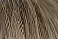 January Jones's hair — ash blonde, cool True Summer signature