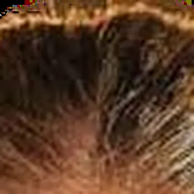 Jennifer Lopez's hair — warm chestnut-brown, True Autumn golden warmth