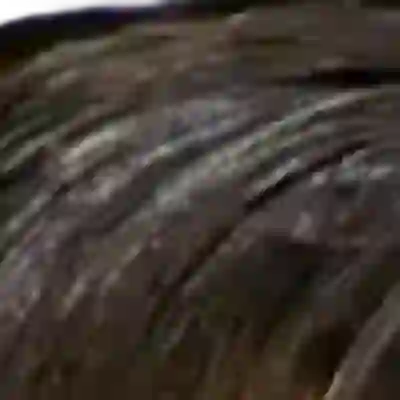Megan Thee Stallion's hair — deep near-black with warm dark-brown undertone