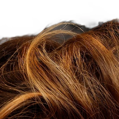 Miley Cyrus's natural hair — warm chestnut-auburn with golden highlights