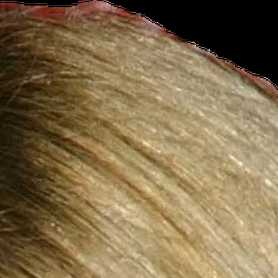 Olivia Wilde's hair — mousy brown, no strong temperature, Soft Summer signature