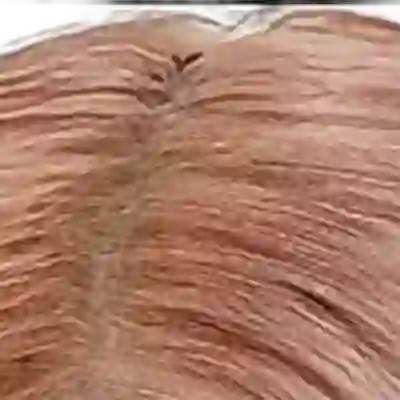 Rosé's hair — rose-blonde styling over naturally very dark near-black hair