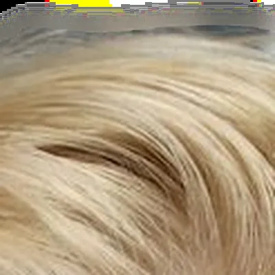 Saoirse Ronan's hair — warm blonde, consistent with Light Spring
