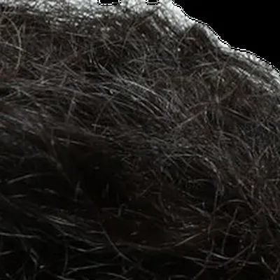 Serena Williams's hair — very dark near-black with warmth, Deep Autumn signature