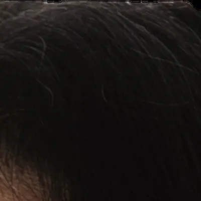 Shay Mitchell's hair — very dark warm brown, Deep Autumn signature