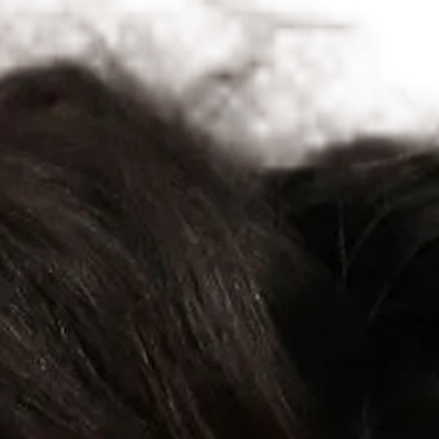 Timothée Chalamet's hair — very dark near-black with a cool-dark quality