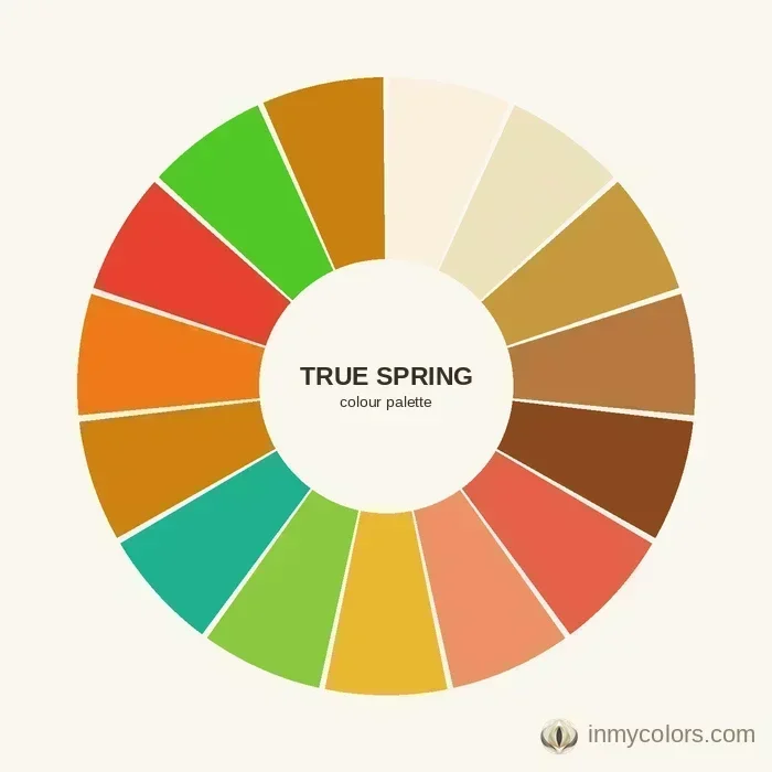 True Spring colour palette wheel showing all 15 season colours — neutrals, core, and accent shades in warm golden tones